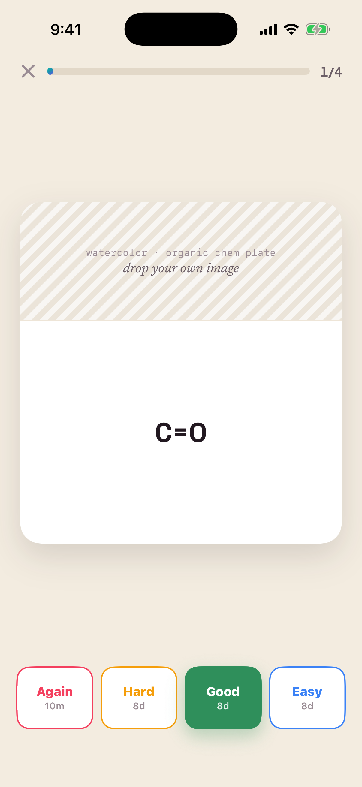 Studying a card with the four-button rating row